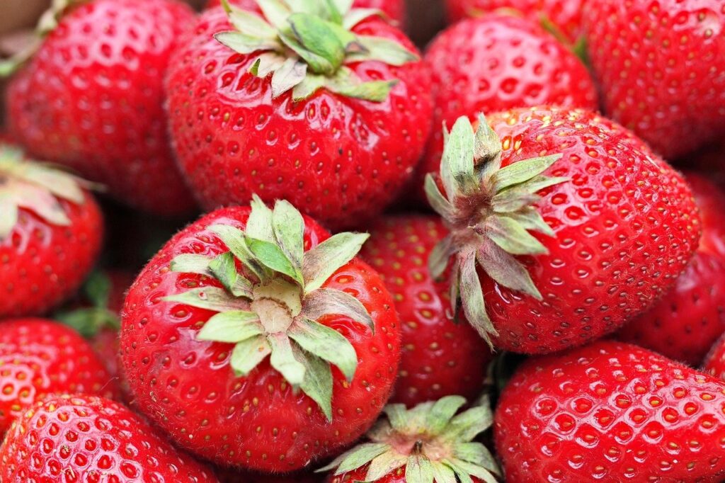 comment conserver des fraises en barquette